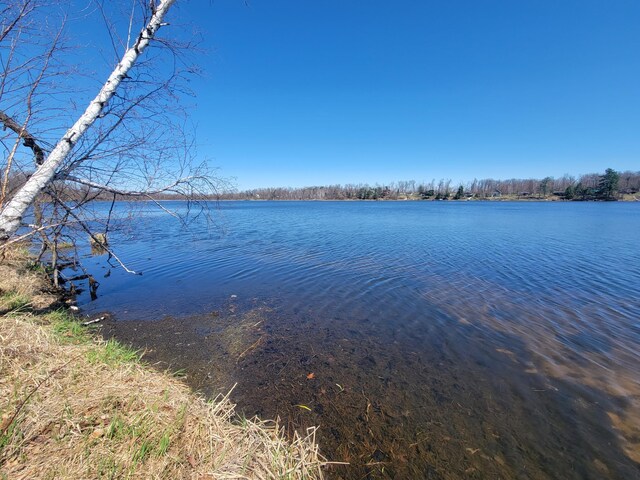 1766 White Ash Dr, Apple River Twp, WI 54810