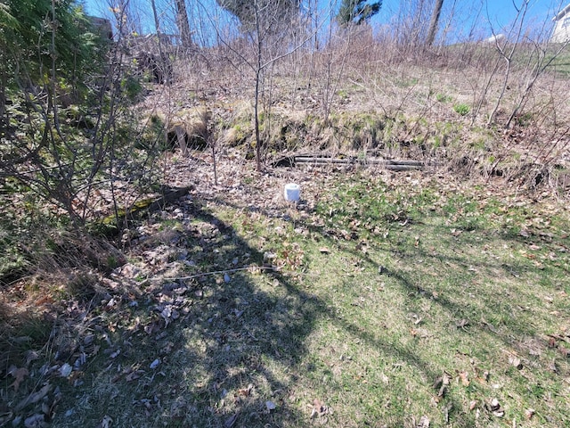 1766 White Ash Dr, Apple River Twp, WI 54810