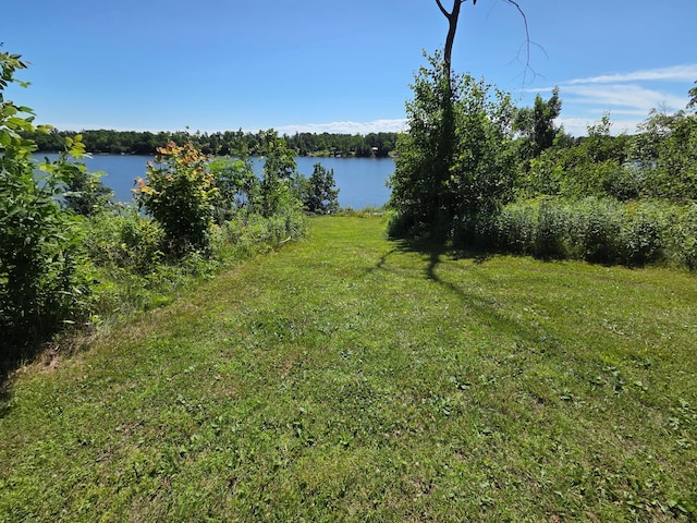 1766 White Ash Dr, Apple River Twp, WI 54810 - photo 1