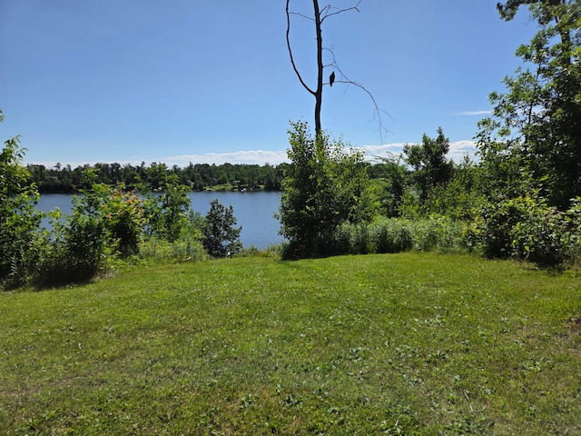 1766 White Ash Dr, Apple River Twp, WI 54810 - photo 5