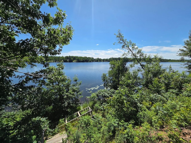 1766 White Ash Dr, Apple River Twp, WI 54810 - photo 11
