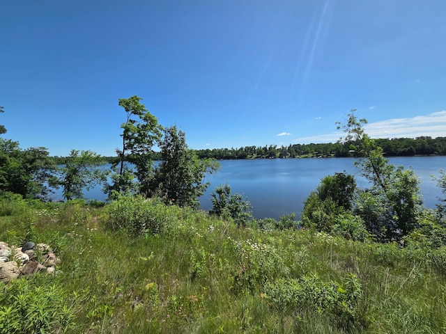 1766 White Ash Dr, Apple River Twp, WI 54810 - photo 13