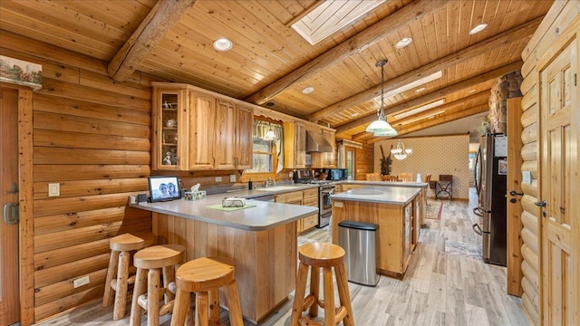 18100 Stockhousen Rd NW, Evansville, MN 56326 - kitchen with light wood-type flooring, a peninsula, appliances with stainless steel finishes, and lofted ceiling with skylight