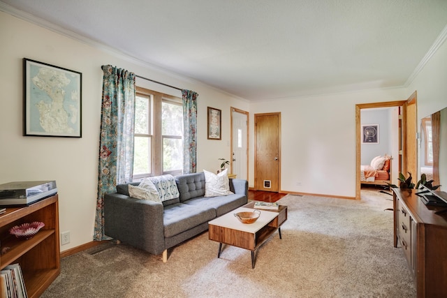 5371 Hugo Rd, White Bear Twp, MN 55110 - living area with carpet flooring, crown molding, and baseboards