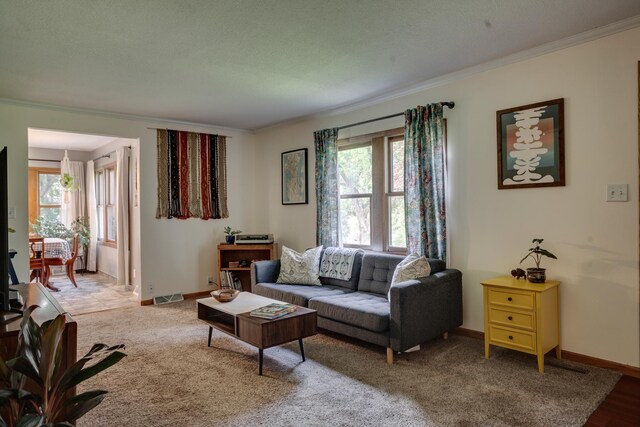5371 Hugo Rd, White Bear Twp, MN 55110 - living area featuring ornamental molding, plenty of natural light, and baseboards