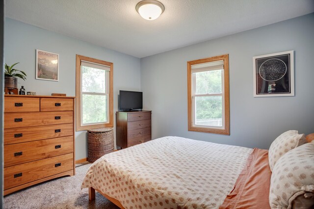 5371 Hugo Rd, White Bear Twp, MN 55110 - bedroom with multiple windows and carpet floors