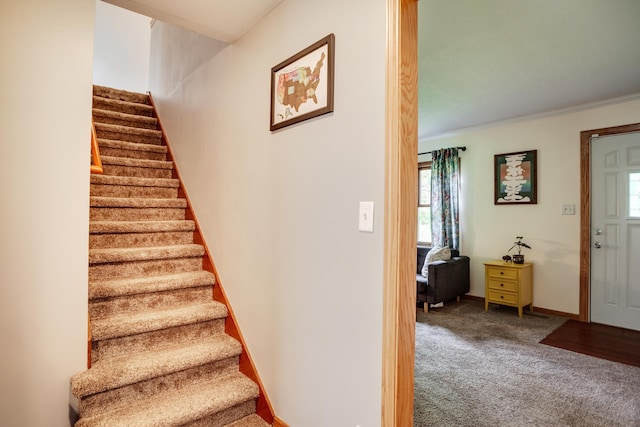 5371 Hugo Rd, White Bear Twp, MN 55110 - stairs with carpet, crown molding, and baseboards