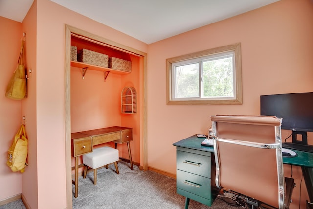 5371 Hugo Rd, White Bear Twp, MN 55110 - office space with baseboards and carpet flooring