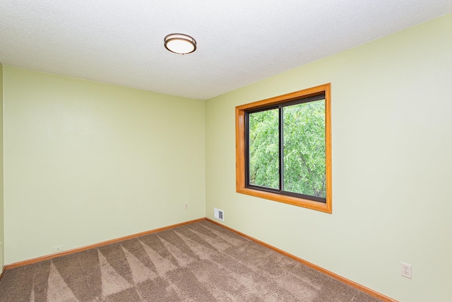 8762 Highwood Way, Apple Valley, MN 55124 - carpeted empty room with baseboards and a textured ceiling