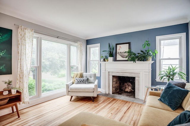 4830 29th Ave S, Minneapolis, MN 55417 - living room featuring wood finished floors, healthy amount of natural light, and a premium fireplace