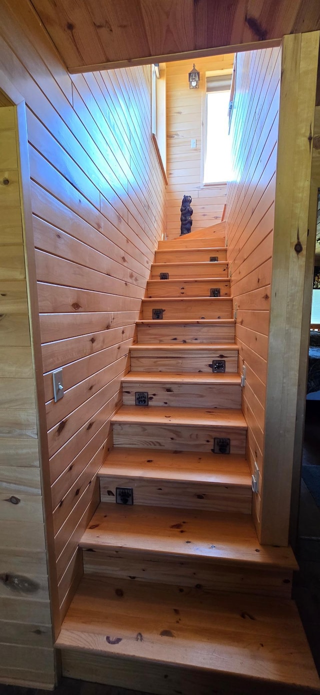 stairway with wood walls