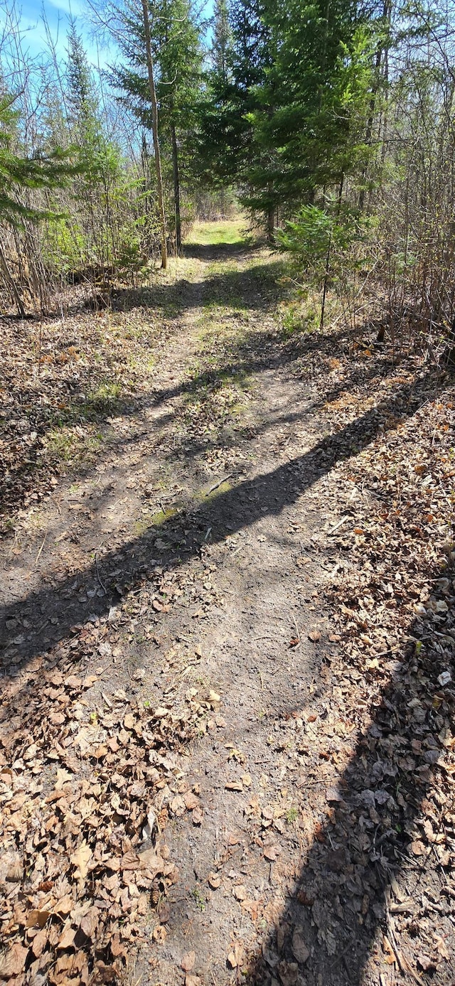 17801 Bear Crk, Angle Inlet, MN 56711 - view of undeveloped land