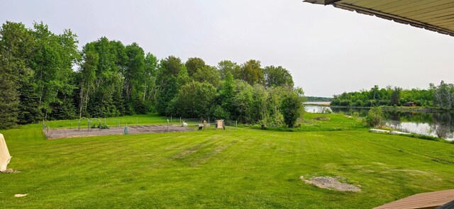 17801 Bear Crk, Angle Inlet, MN 56711 - view of grassy yard featuring a water view and a vegetable garden