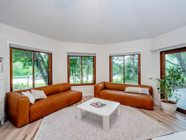 2415 Edgerton St, Little Canada, MN 55117 - living room featuring light wood-style flooring, healthy amount of natural light, and vaulted ceiling