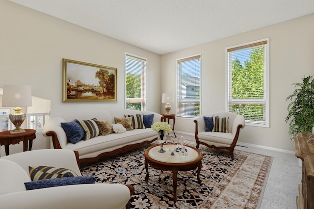 19281 Dunbury Ave, Farmington, MN 55024 - sitting room featuring plenty of natural light, carpet flooring, and baseboards