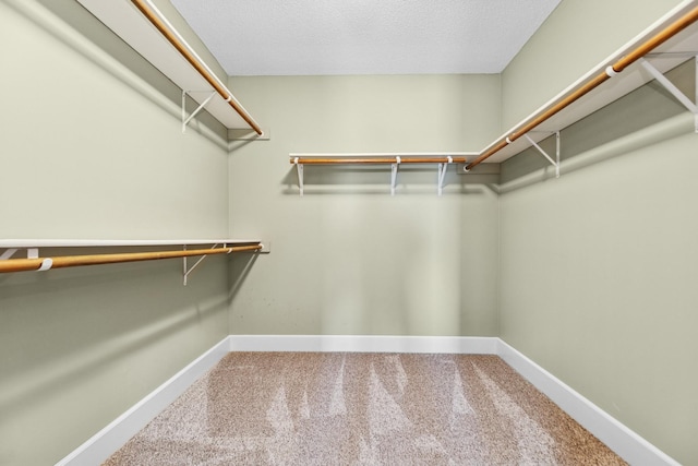 206 Fairway Cir, Glencoe, MN 55336 - spacious closet featuring carpet