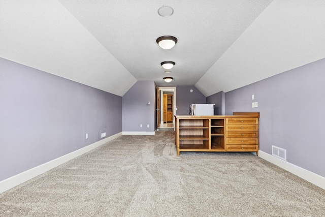 206 Fairway Cir, Glencoe, MN 55336 - additional living space with carpet floors and lofted ceiling