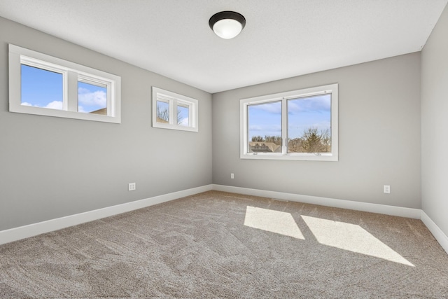 206 Fairway Cir, Glencoe, MN 55336 - spare room featuring baseboards and carpet floors
