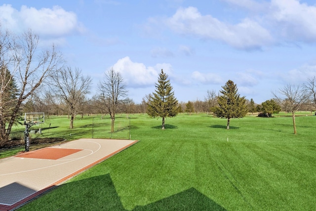 206 Fairway Cir, Glencoe, MN 55336 - view of grassy yard with community basketball court