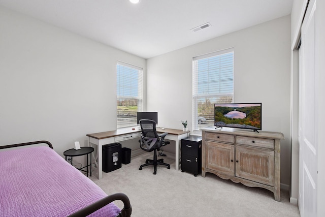 10054 Mulberry Ln, Corcoran, MN 55374 - bedroom featuring light colored carpet and visible vents