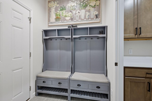 10054 Mulberry Ln, Corcoran, MN 55374 - view of mudroom