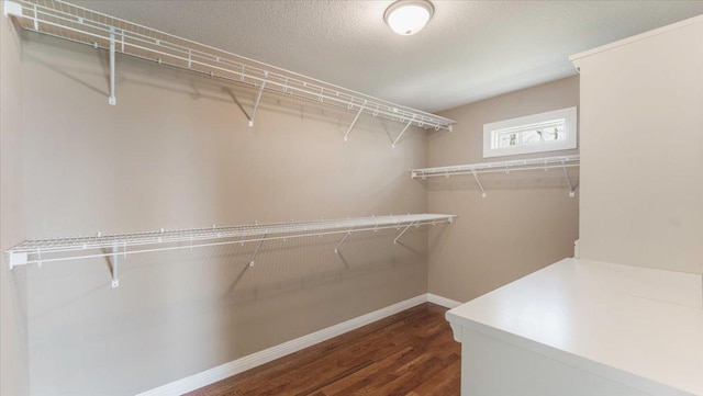 walk in closet with dark wood-style flooring