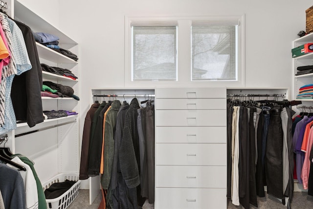 1360 Skyline Dr, Golden Valley, MN 55422 - spacious closet with carpet floors