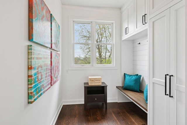1360 Skyline Dr, Golden Valley, MN 55422 - mudroom with dark wood-style flooring and baseboards