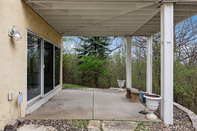 1360 Skyline Dr, Golden Valley, MN 55422 - view of patio