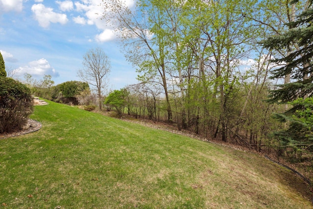 1360 Skyline Dr, Golden Valley, MN 55422 - view of yard