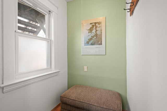 1005 Mclean Ave, Saint Paul, MN 55106 - view of sitting room