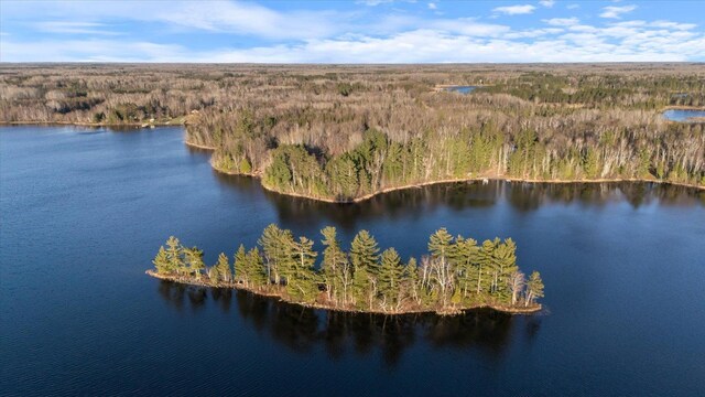 TBD W Shipley Rd, Alborn, MN 55702 - photo 2