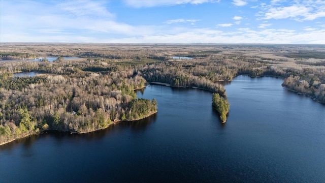 TBD W Shipley Rd, Alborn, MN 55702 - photo 3