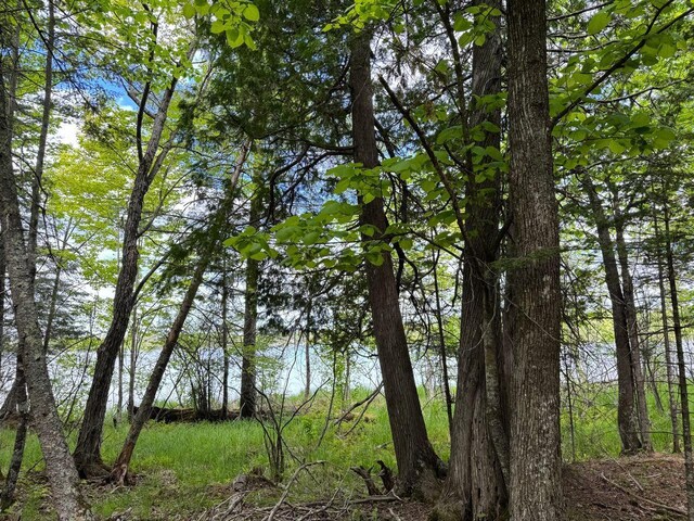TBD W Shipley Rd, Alborn, MN 55702 - photo 31