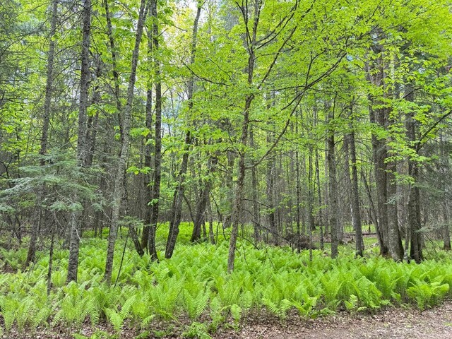TBD W Shipley Rd, Alborn, MN 55702 - photo 39