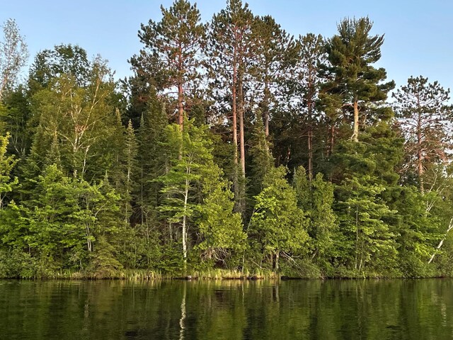 TBD W Shipley Rd, Alborn, MN 55702 - photo 22