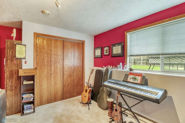 sitting room featuring carpet floors and a textured ceiling