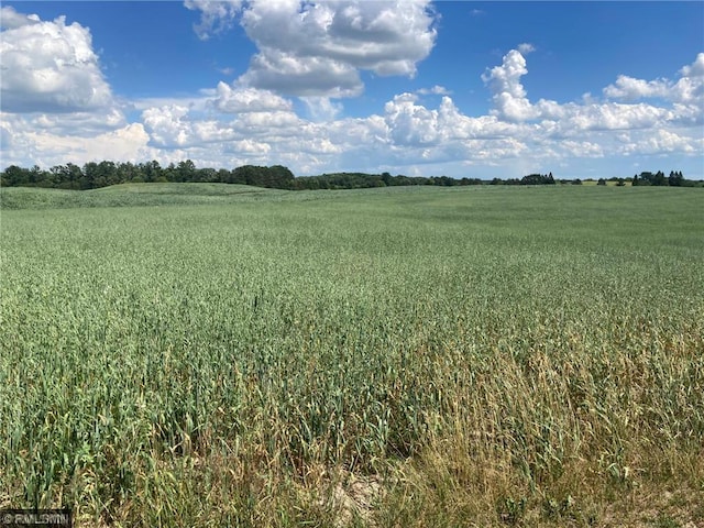 1403 105th Ave, Amery, WI 54001 - view of local wilderness with a rural view