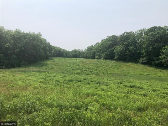 1403 105th Ave, Amery, WI 54001 - view of yard with a view of trees and a rural view