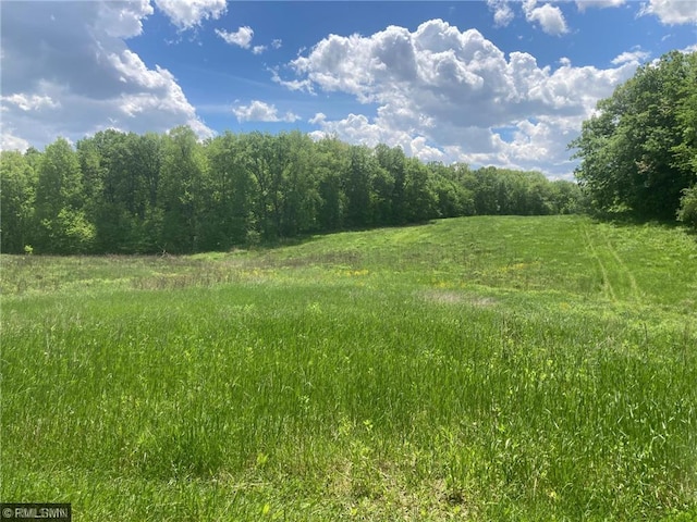 1403 105th Ave, Amery, WI 54001 - view of nature featuring a forest view and a rural view