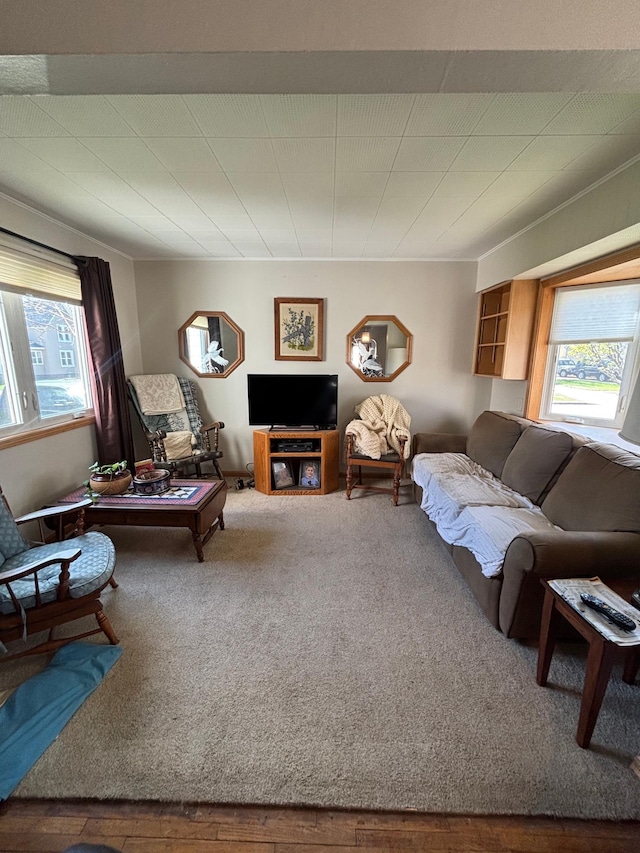 view of carpeted living room
