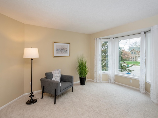 sitting room featuring baseboards and carpet floors