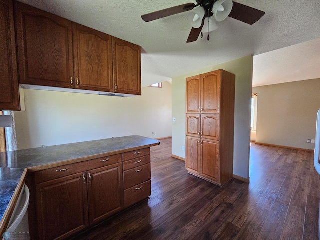 kitchen featuring dark countertops, dark wood-style floors, ceiling fan, and dishwasher