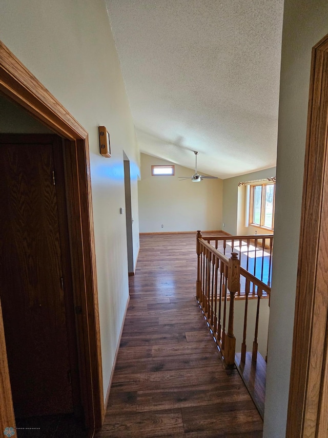 hall with a textured ceiling, dark wood finished floors, a healthy amount of sunlight, and lofted ceiling