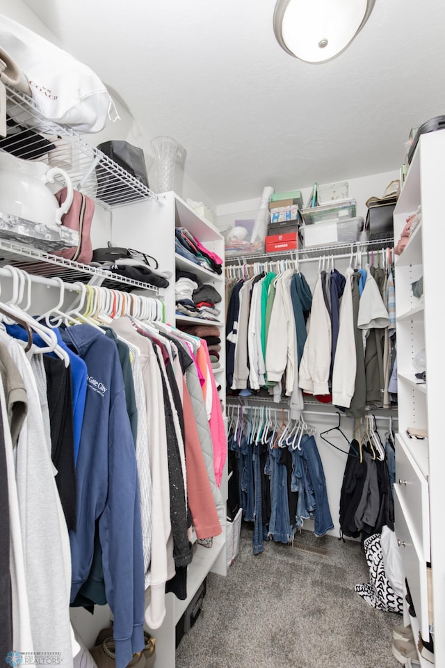 spacious closet featuring carpet