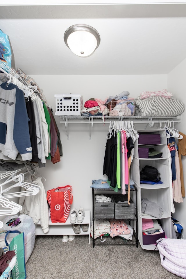 walk in closet with carpet floors