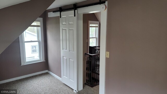 interior space with plenty of natural light, a barn door, baseboards, and light carpet