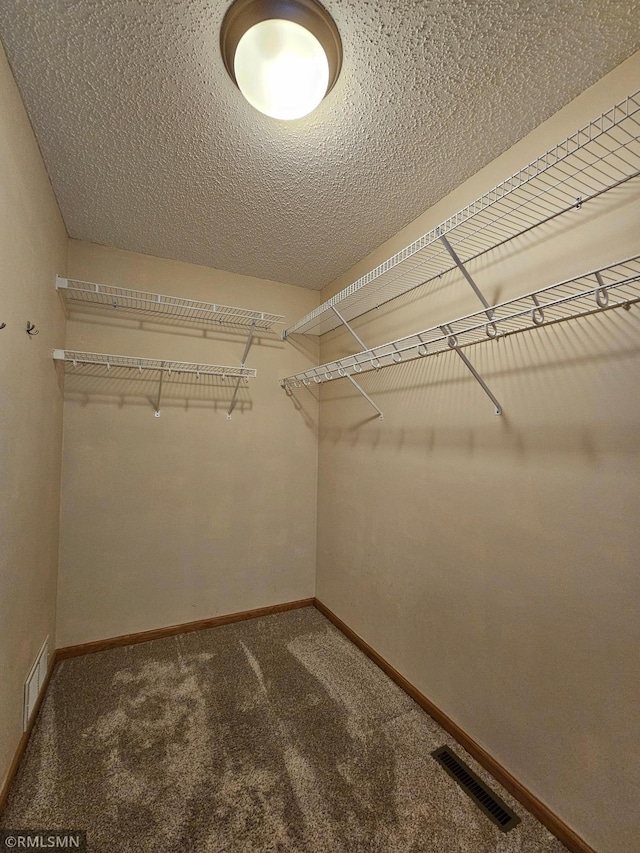 walk in closet featuring carpet flooring and visible vents