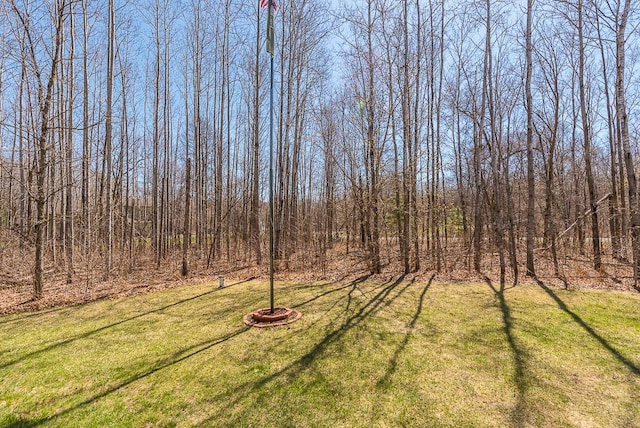 10098 Pin Oak Ln, Brainerd, MN 56401 - view of yard