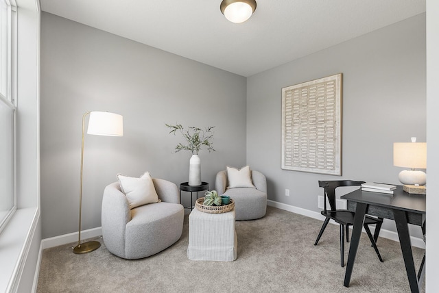 office area with carpet and baseboards
